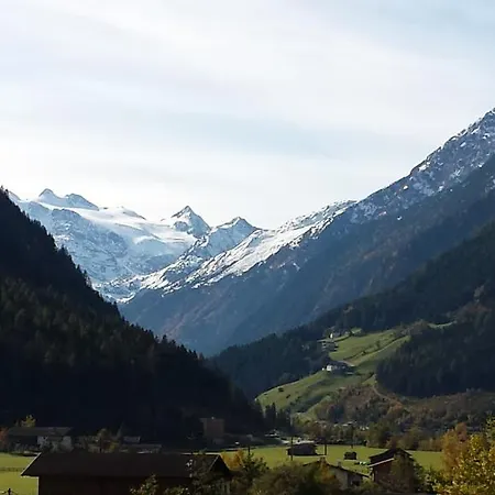 Ahorn * 노이스티프트임스튀바이탈