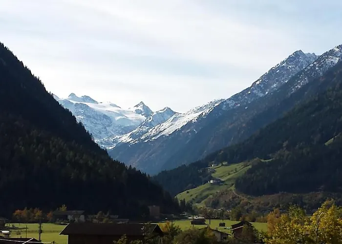 Ahorn * Neustift im Stubaital