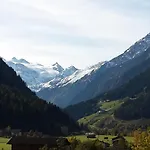 Ahorn * Neustift im Stubaital